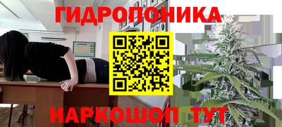 прущий лед Можга