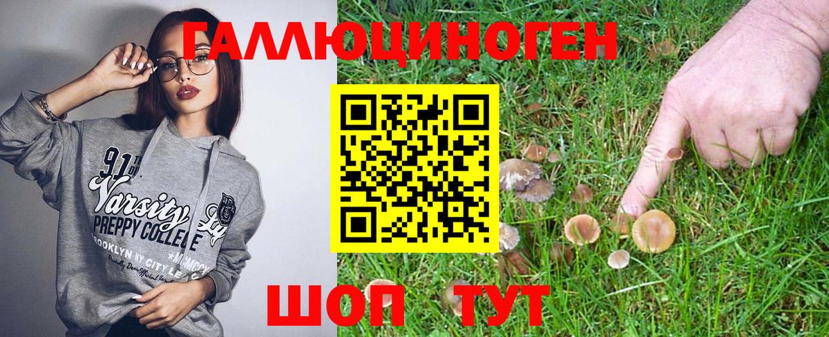 Псилоцибиновые грибы ЛСД  Вход с VPN  Гусев  Галлюциногенные грибы Psilocybe 